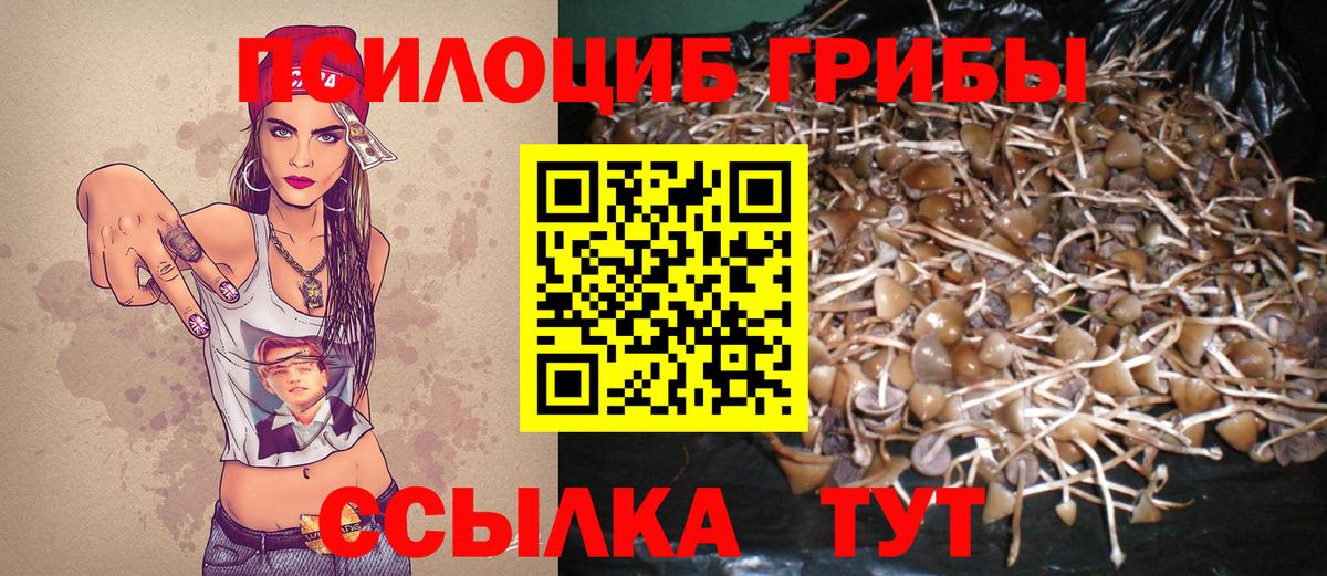 Галлюциногенные грибы Psilocybine cubensis  Вход с VPN  Новоалександровск 