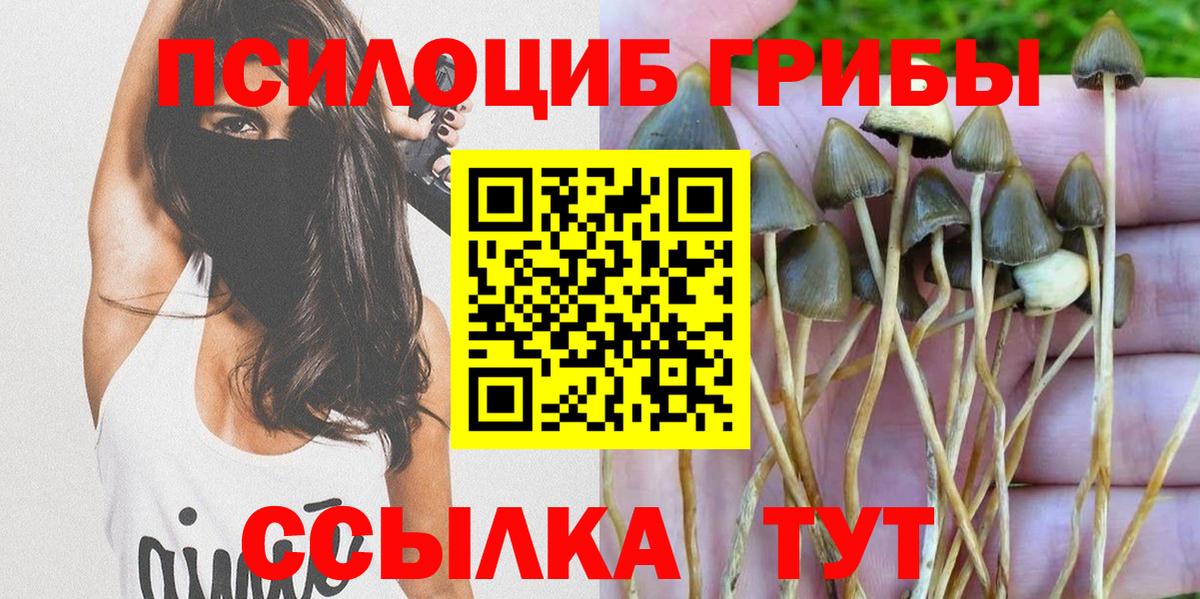Галлюциногенные грибы мухоморы Новоалександровск