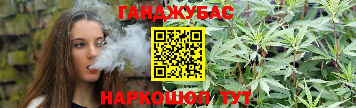 Конопля сатива  Конопля конопля  Вход с VPN  Конопля сатива  Новоалександровск 